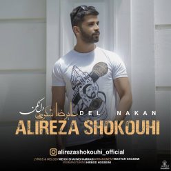 دانلود آهنگ علیرضا شکوهی دل نکن